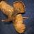 Wild turkey taxidermy 1 thumbnail