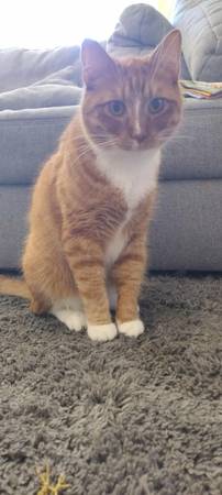 Dragon 2 years old (Camp Murray)63853558110467120