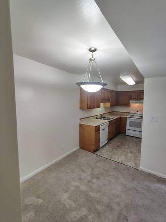 $1041.00 / 2br - 840ft2 - Modern 2 Bed 1.5 Bath Unit in Lynchburg, VA - Available 9/10/2025 - $163851968692353120