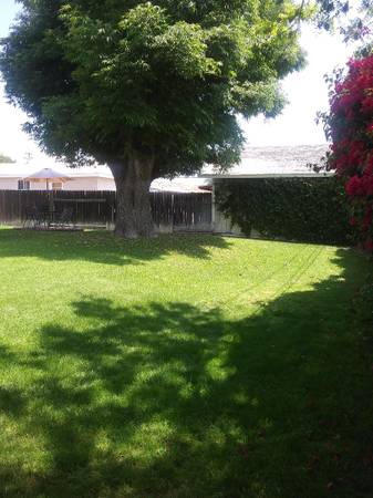 House For Share/Room Available 1