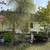 Weeping Willow Trees etc 5 thumbnail