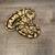 Ball pythons 5 thumbnail