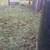 Weed eater service high grass/weeds cut it down 8 thumbnail