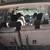 2007 Honda Odyssey 3.6L V6, 7 passengers Minivan, INSPECTED 2026. 9 thumbnail