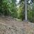 5 ac forest with cabin shell Kingston 6 thumbnail