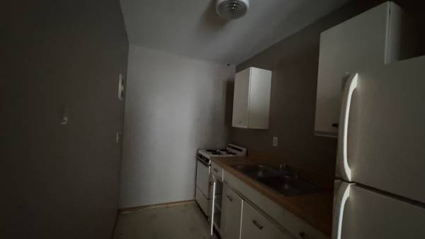 $600 / 2br - 700ft2 - 514 South Wall Street, Carbondale, IL (Carbondale)63688352203265121
