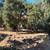 TINY HOUSE/RV LAND LEASE AVAILABLE 2 thumbnail