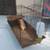 Small Animal Cage 2 thumbnail