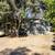 $1600 - 3 Bed/2Bath in the Town of Oracle 1 thumbnail