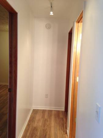 $900 / 2br - 700ft2 - DOWNTOWN LANSING - 2 Bedroom, 1 Bath Apt. (Downtown Lansing)63620275034883124