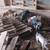 Feeder Pigs 7 thumbnail