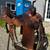Big G barrel racing saddle 3 thumbnail