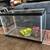 Aquarium / Turtle / Fish Tank Small to Medium 10 thumbnail