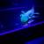 Axolotls 10 thumbnail