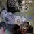 kitten 3 thumbnail