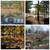 Huge Douglas Lakefront Lot for rent RV Long Term 4 thumbnail