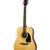 Epiphone FT-100 Acoustic Guitar -- Brand New 3 thumbnail
