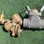 3" hydrant meter w back flow prevention 2 thumbnail