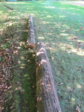 Old Telephone Pole 1