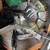 Rigid mobile miter saw stand with Metabo saw - Like New 2 thumbnail