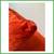 New Cappellini Cuba Armless Red Slipcovered Chair + Pillow 11 thumbnail