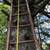 Wood extended ladders 5 thumbnail