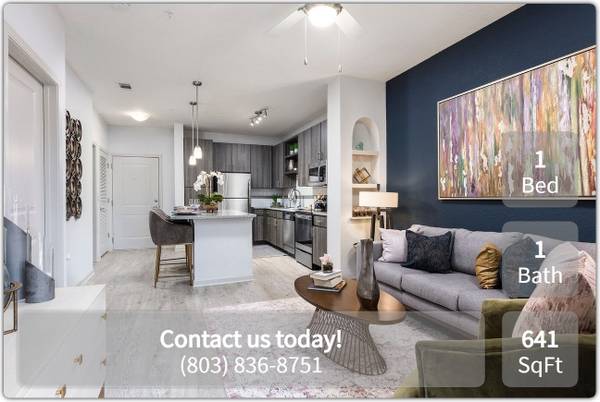 $1,375 / 1br - 641ft2 - Come home to a getaway - every day! Resort-style 1 bed, 1 bath! (Indian Land)63925335558787120