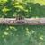 Chevy ford dodge heavy duty bumper 4x4 off road k5 blazer 5 thumbnail