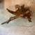 Glass Top Coffee Table on Tree Root Base 3 thumbnail