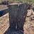 Pine double planter stump 2 thumbnail