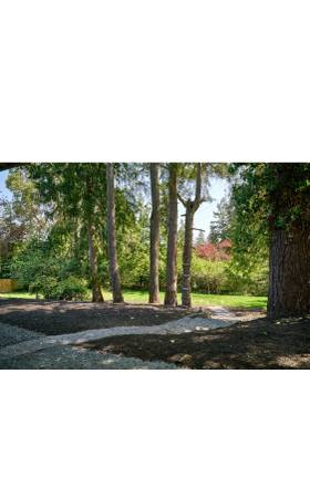 $2,300 / 2br - 1100ft2 - 2bed 1bath House (Shoreline)63811610653699123