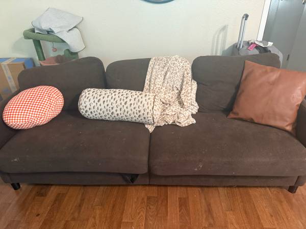 Sofa couches 1
