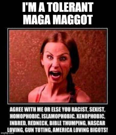 I'm A Tolerant MAGA Maggot 1