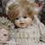 Mary Jane Muscarella and Debbette Dolls--4 Porcelain Heirloom Dolls 2 thumbnail