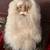 Life Size Decorative Santa 3 thumbnail