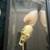 EVOLUTION SKULL ART SCULPTURE Bizarre Oddities Curiosities Macabre 7 thumbnail