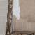 Vintage Picture Frame 2 thumbnail