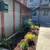 🌻🐶❤️ PET FREINDLY. . 1  BED /1 BATH. FULLY UPGRADED . GATED ENTRY 4 thumbnail