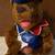 Vintage Hersheypark Plush Set - Nanco Pig (1998) & Bear (1999) 2 thumbnail