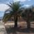 ROS LANDSCAPE MAINTENANCE AND CLEANING SERVICES. FREE ESTIMATES CALL TEXT OR EMA 6 thumbnail