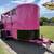 2026 DELCO 2 HORSE BUMPER PULL WITH SPARE PINK 12K-GVWR 1 thumbnail