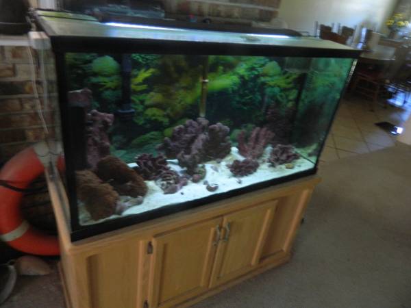 ACUARIO DE 75 GALONES CON SOPORTE Y TODO EL EQUIPO $250 (Pensacola)63836590633347120