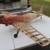 RC AIRPLANE P-51 5 thumbnail