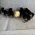 Chicks Large black Brahma and Cochin 3 thumbnail