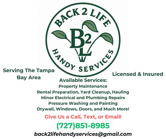 💥BACK 2 LIFE HANDY SERVICES💥 1