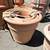 ceramic glazed pots and planters 3 thumbnail