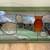 VINTAGE STAINED GLASS ART - 19" x 32" x 1 1/2" - BASEMENT WINDOW 7 thumbnail