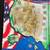 Complete Set U.S. Commemorative Quarters in Millennium Edition Case 4 thumbnail