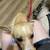 Found dog 4 thumbnail