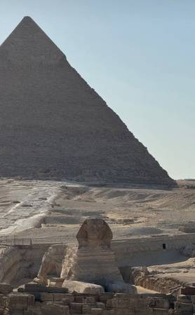 Driver in Egypt (Cairo-Alex) 1